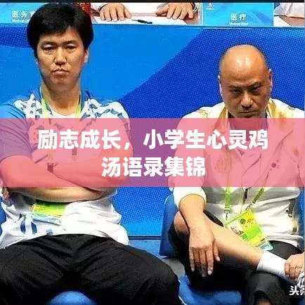 勵(lì)志成長(zhǎng)，小學(xué)生心靈雞湯語(yǔ)錄集錦