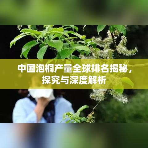 中國泡桐產(chǎn)量全球排名揭秘，探究與深度解析