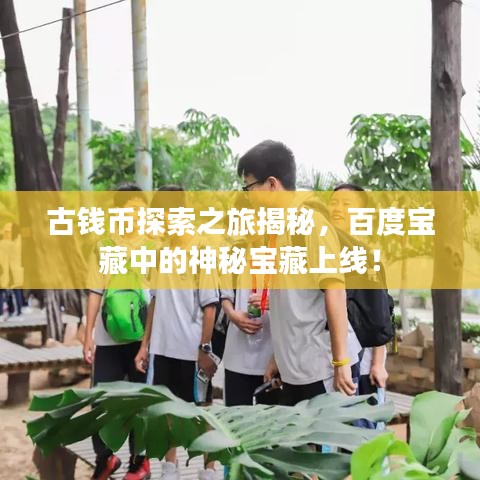 古錢幣探索之旅揭秘，百度寶藏中的神秘寶藏上線！