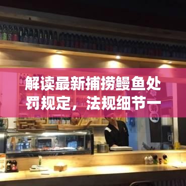 解讀最新捕撈鰻魚處罰規(guī)定，法規(guī)細(xì)節(jié)一網(wǎng)打盡
