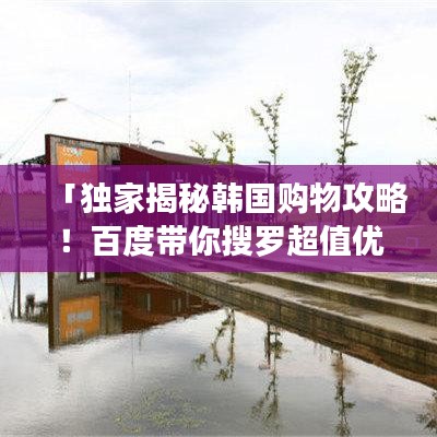 「獨(dú)家揭秘韓國(guó)購(gòu)物攻略！百度帶你搜羅超值優(yōu)惠！」