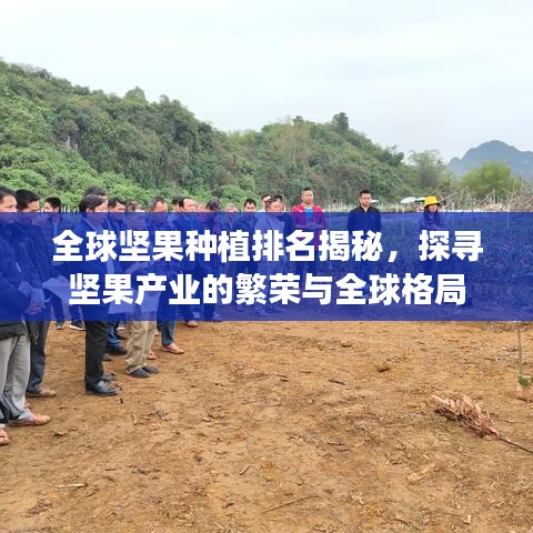 全球堅(jiān)果種植排名揭秘，探尋堅(jiān)果產(chǎn)業(yè)的繁榮與全球格局