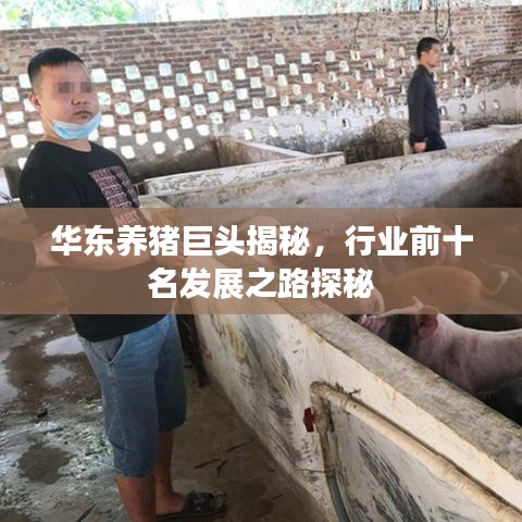 華東養(yǎng)豬巨頭揭秘，行業(yè)前十名發(fā)展之路探秘