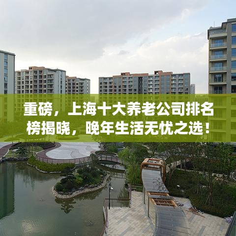 重磅，上海十大養(yǎng)老公司排名榜揭曉，晚年生活無憂之選！