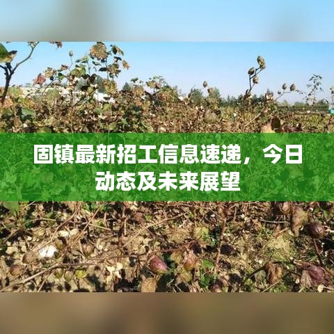 固鎮(zhèn)最新招工信息速遞，今日動態(tài)及未來展望
