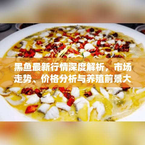黑魚最新行情深度解析，市場走勢、價格分析與養(yǎng)殖前景大探討