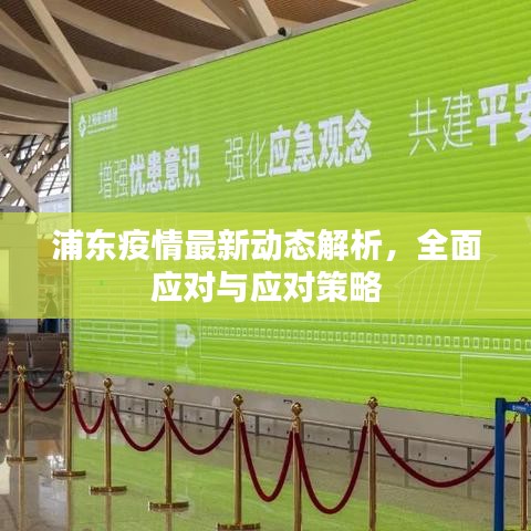 浦東疫情最新動(dòng)態(tài)解析，全面應(yīng)對與應(yīng)對策略