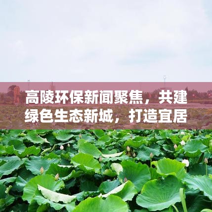 高陵環(huán)保新聞聚焦，共建綠色生態(tài)新城，打造宜居家園