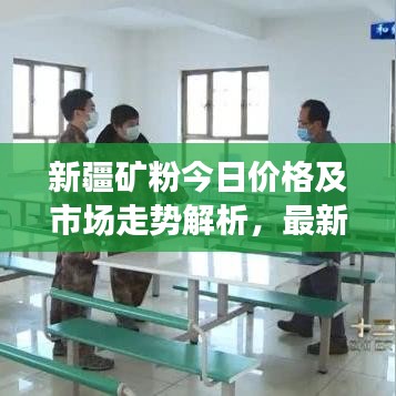 新疆礦粉今日價格及市場走勢解析，最新消息全面掌握