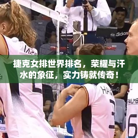 捷克女排世界排名，榮耀與汗水的象征，實(shí)力鑄就傳奇！