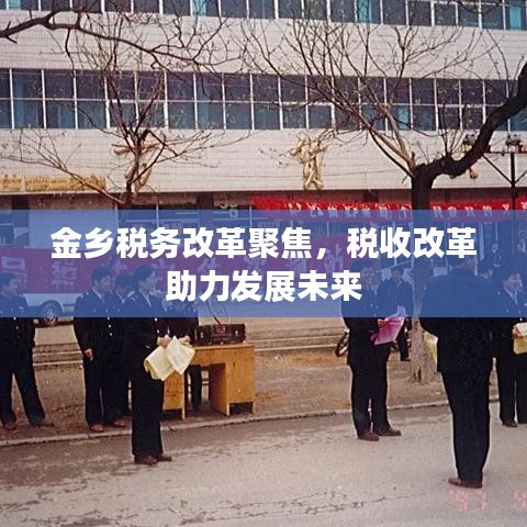 金鄉(xiāng)稅務(wù)改革聚焦，稅收改革助力發(fā)展未來