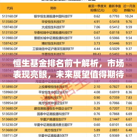 恒生基金排名前十解析，市場表現(xiàn)亮眼，未來展望值得期待