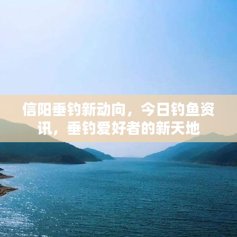 信陽垂釣新動向，今日釣魚資訊，垂釣愛好者的新天地