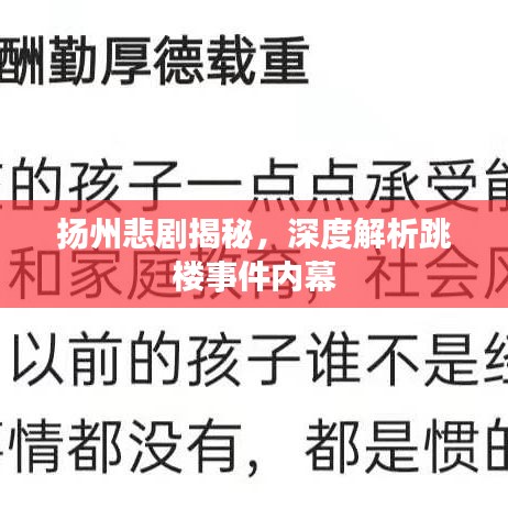 揚(yáng)州悲劇揭秘，深度解析跳樓事件內(nèi)幕