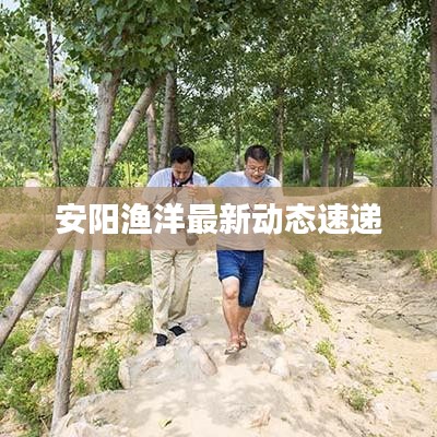 安陽漁洋最新動態(tài)速遞