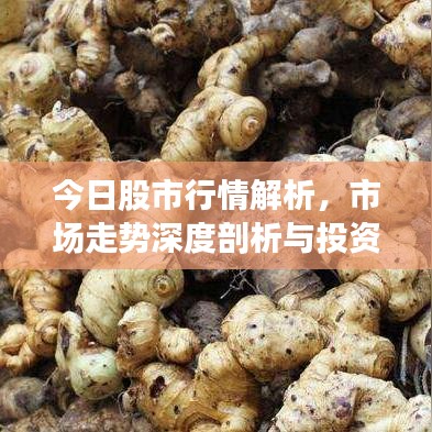今日股市行情解析，市場(chǎng)走勢(shì)深度剖析與投資機(jī)會(huì)探討