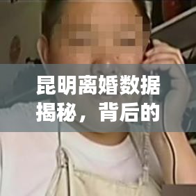 昆明離婚數(shù)據(jù)揭秘，背后的故事與啟示