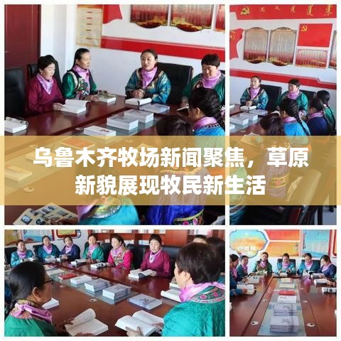 烏魯木齊牧場新聞聚焦，草原新貌展現(xiàn)牧民新生活