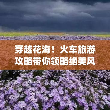 穿越花海！火車旅游攻略帶你領略絕美風景之旅