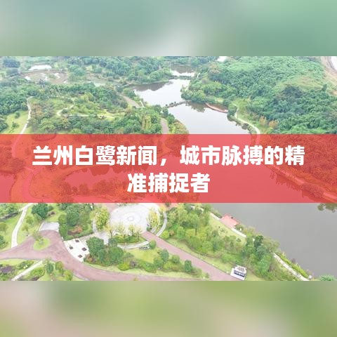蘭州白鷺新聞，城市脈搏的精準(zhǔn)捕捉者
