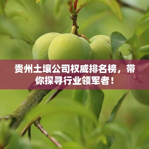 貴州土壤公司權(quán)威排名榜，帶你探尋行業(yè)領(lǐng)軍者！