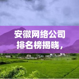 安徽網(wǎng)絡(luò)公司排名榜揭曉，探尋行業(yè)領(lǐng)軍者，你不可不知的名單！