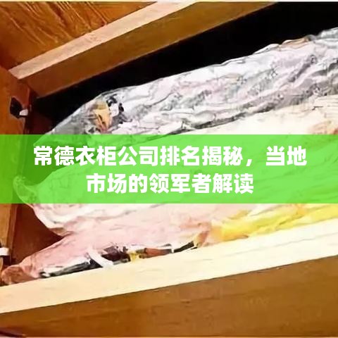 常德衣柜公司排名揭秘，當(dāng)?shù)厥袌?chǎng)的領(lǐng)軍者解讀