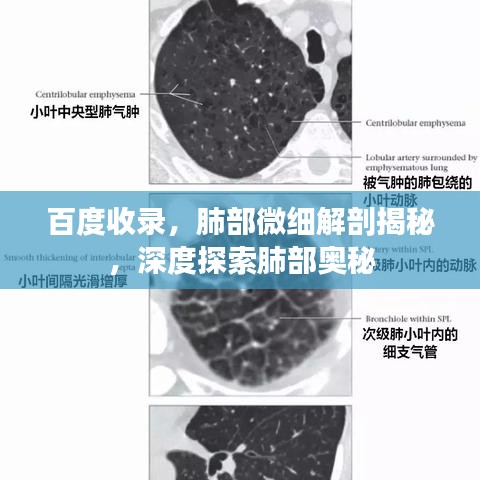 鳥革翬飛 第2頁