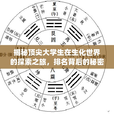 揭秘頂尖大學(xué)生在生化世界的探索之旅，排名背后的秘密