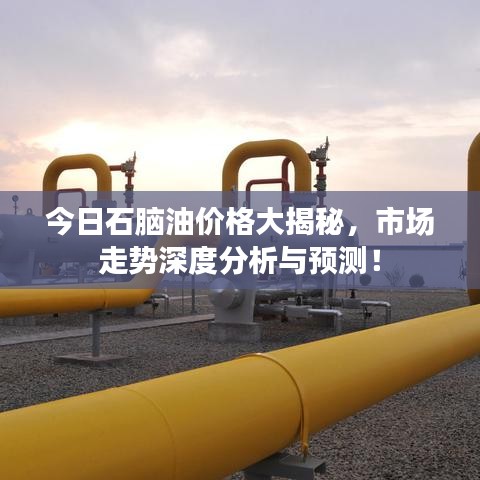 今日石腦油價格大揭秘，市場走勢深度分析與預(yù)測！
