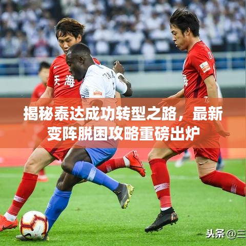 揭秘泰達(dá)成功轉(zhuǎn)型之路，最新變陣脫困攻略重磅出爐