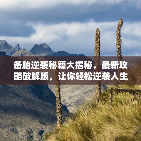 備胎逆襲秘籍大揭秘，最新攻略破解版，讓你輕松逆襲人生！