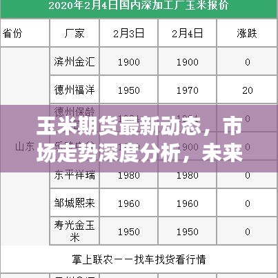 玉米期貨最新動(dòng)態(tài)，市場(chǎng)走勢(shì)深度分析，未來趨勢(shì)預(yù)測(cè)報(bào)告