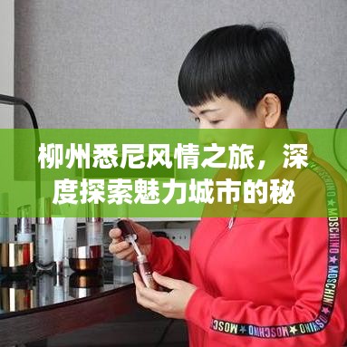 柳州悉尼風(fēng)情之旅，深度探索魅力城市的秘密攻略