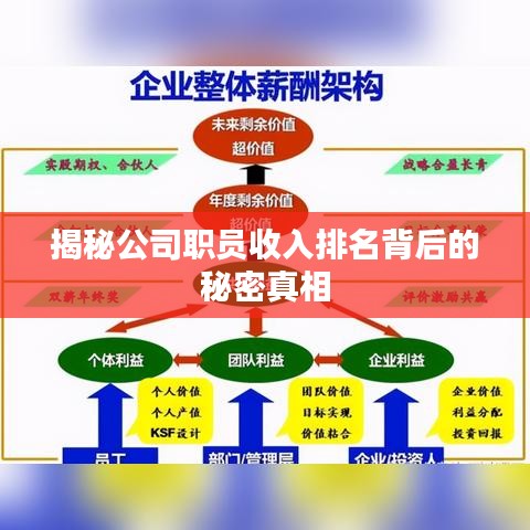 揭秘公司職員收入排名背后的秘密真相