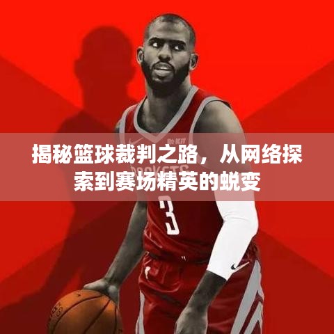 揭秘籃球裁判之路，從網(wǎng)絡探索到賽場精英的蛻變