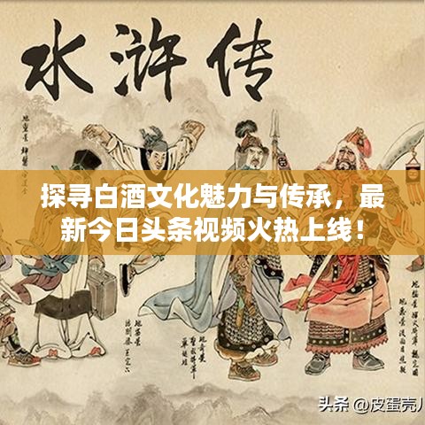 探尋白酒文化魅力與傳承，最新今日頭條視頻火熱上線！