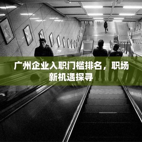 廣州企業(yè)入職門檻排名，職場新機遇探尋