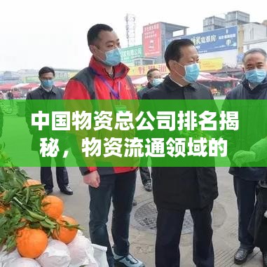 中國物資總公司排名揭秘，物資流通領(lǐng)域的領(lǐng)軍者企業(yè)榜單揭曉！