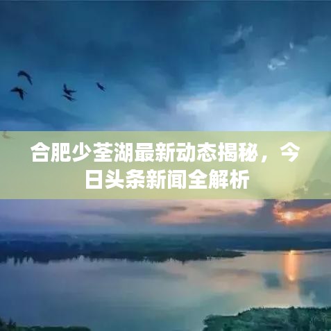 合肥少荃湖最新動態(tài)揭秘，今日頭條新聞全解析