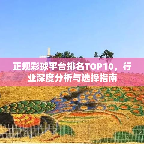 正規(guī)彩球平臺排名TOP10，行業(yè)深度分析與選擇指南