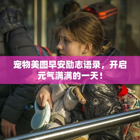 寵物美圖早安勵(lì)志語(yǔ)錄，開啟元?dú)鉂M滿的一天！