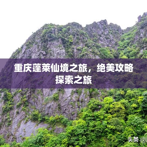 沉灶產(chǎn)蛙 第2頁