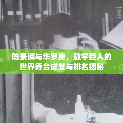 陳景潤與華羅庚，數(shù)學(xué)巨人的世界舞臺成就與排名揭秘