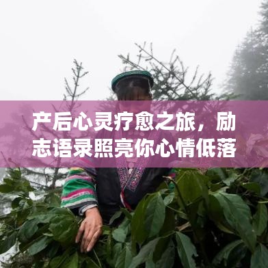 產(chǎn)后心靈療愈之旅，勵志語錄照亮你心情低落的日子