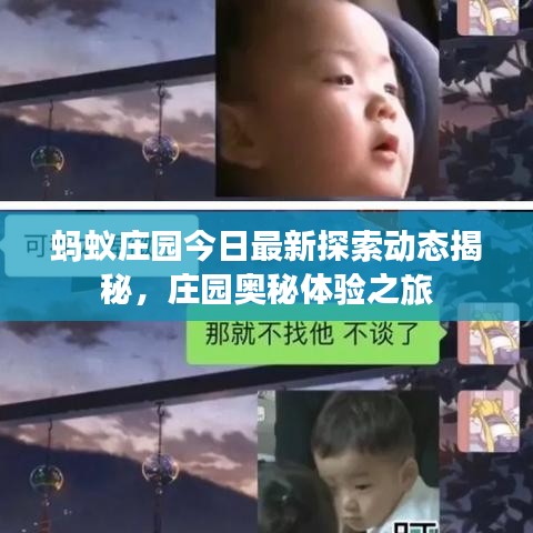 螞蟻莊園今日最新探索動態(tài)揭秘，莊園奧秘體驗(yàn)之旅