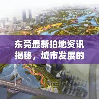 東莞最新拍地資訊揭秘，城市發(fā)展的強勁脈搏今日動態(tài)