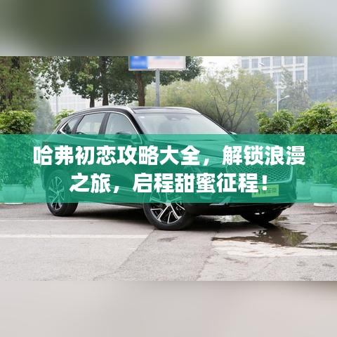 哈弗初戀攻略大全，解鎖浪漫之旅，啟程甜蜜征程！