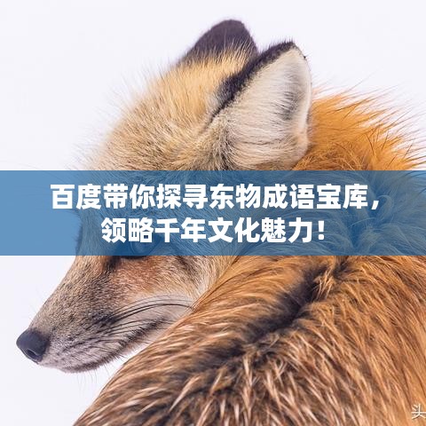 百度帶你探尋東物成語寶庫，領(lǐng)略千年文化魅力！