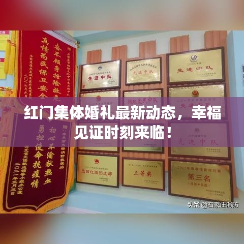 紅門集體婚禮最新動態(tài)，幸福見證時刻來臨！
